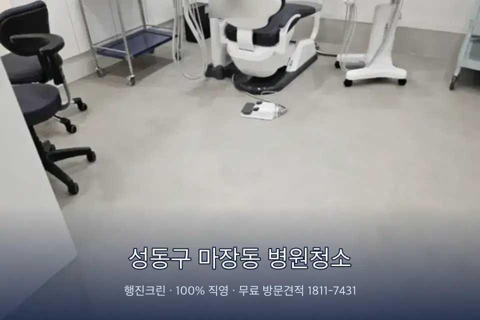 성동구 마장동 병원청소 원장실 책상 주변 청소